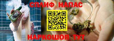 прущие грибы Моздок