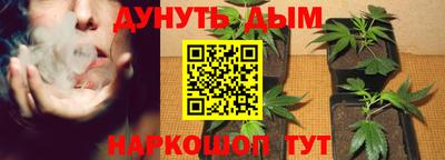 прущие грибы Моздок