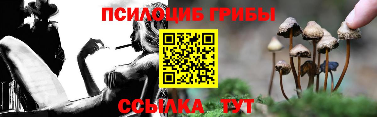 купить наркотики цена  Вход с VPN  Владимир  Псилоцибиновые грибы MAGIC MUSHROOMS 