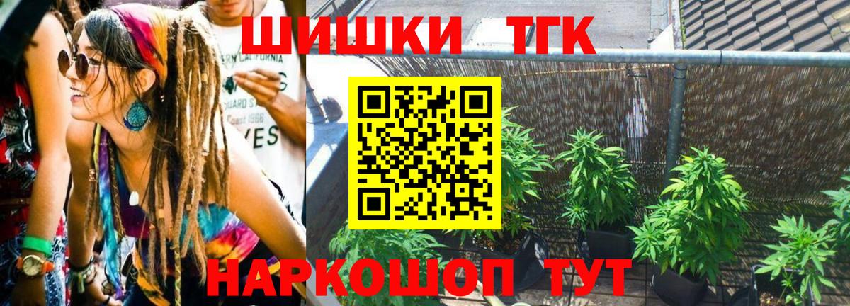 Конопля конопля Владимир